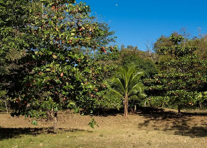 Borntobewild Ecoresort
