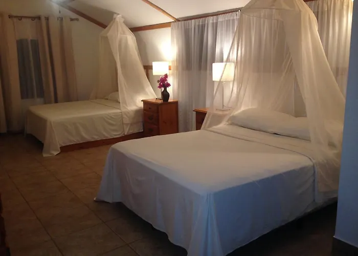 Borntobewild Ecoresort Lodge *