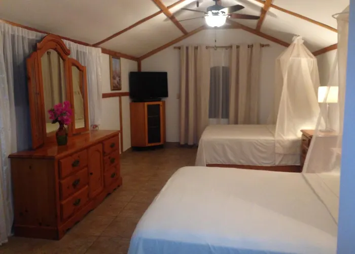 Lodge Borntobewild Ecoresort *